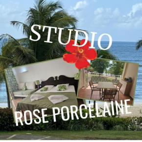 Studio Rose Porcelaine, vue mer